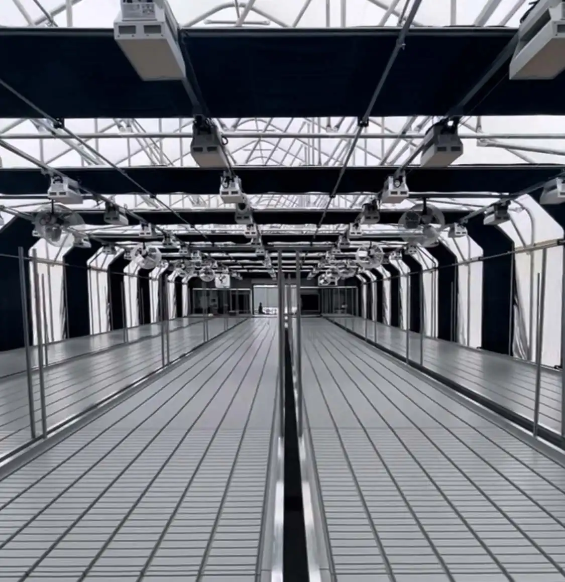 Greenhouse interior crop