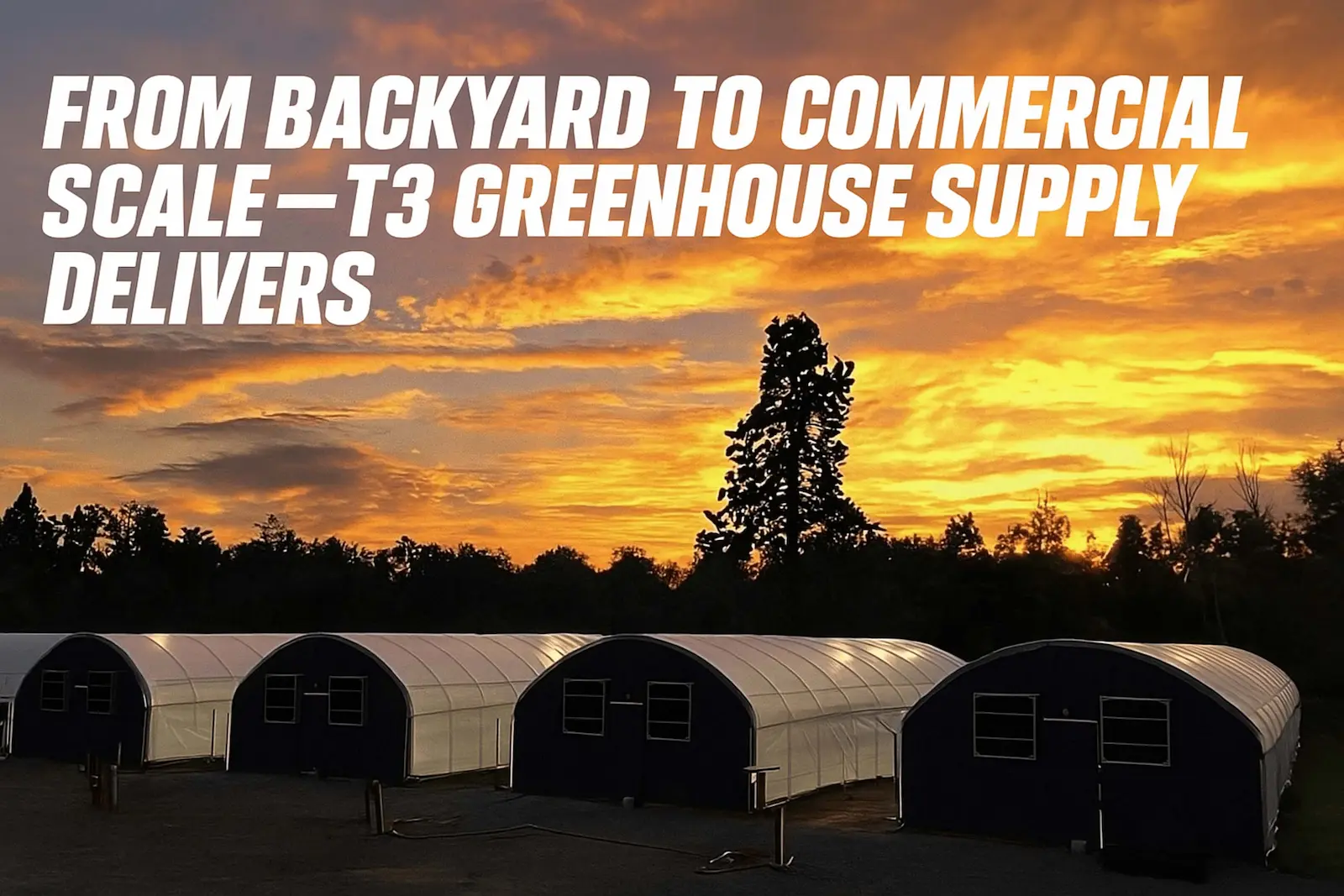 Greenhouse-Skyline-at-Sunset T3 multi-greenhouse installation at sunset in Northern California